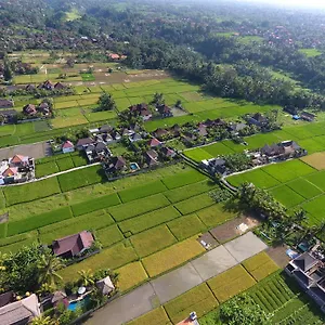 pondok-buda.ubudhotelsnow.com/